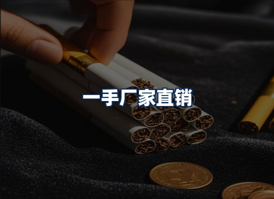 专业团队办公环境